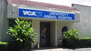 VCA University Animal Hospital